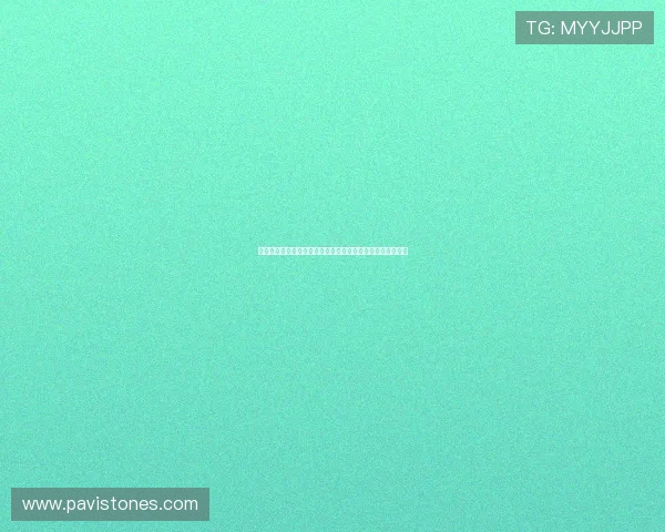 苏格兰与摩洛哥控球战术对比：谁能掌控比赛节奏的关键因素